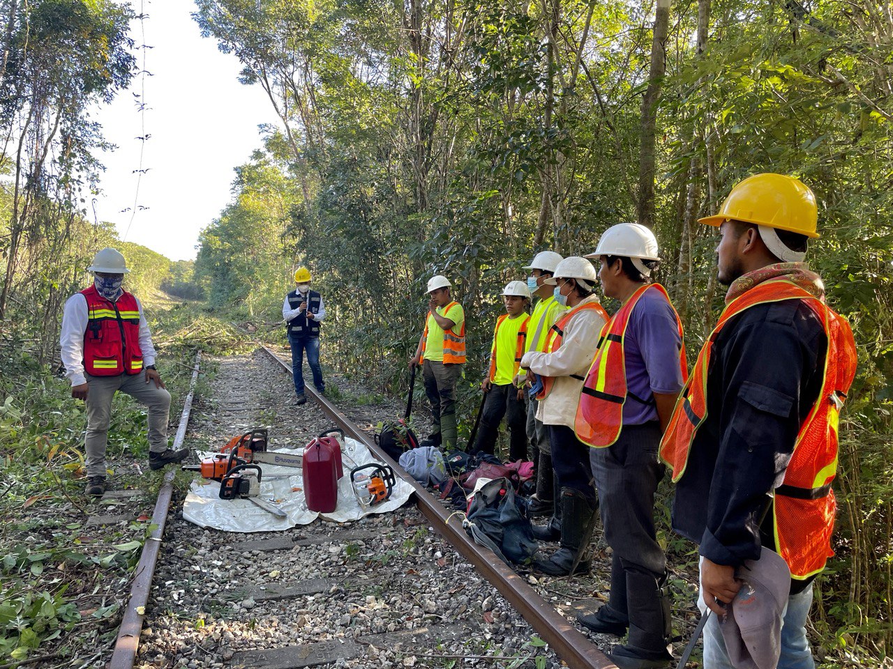 ¡Siguen las expropiaciones! Declaran de “utilidad pública” 51 terrenos para el Tren Maya
