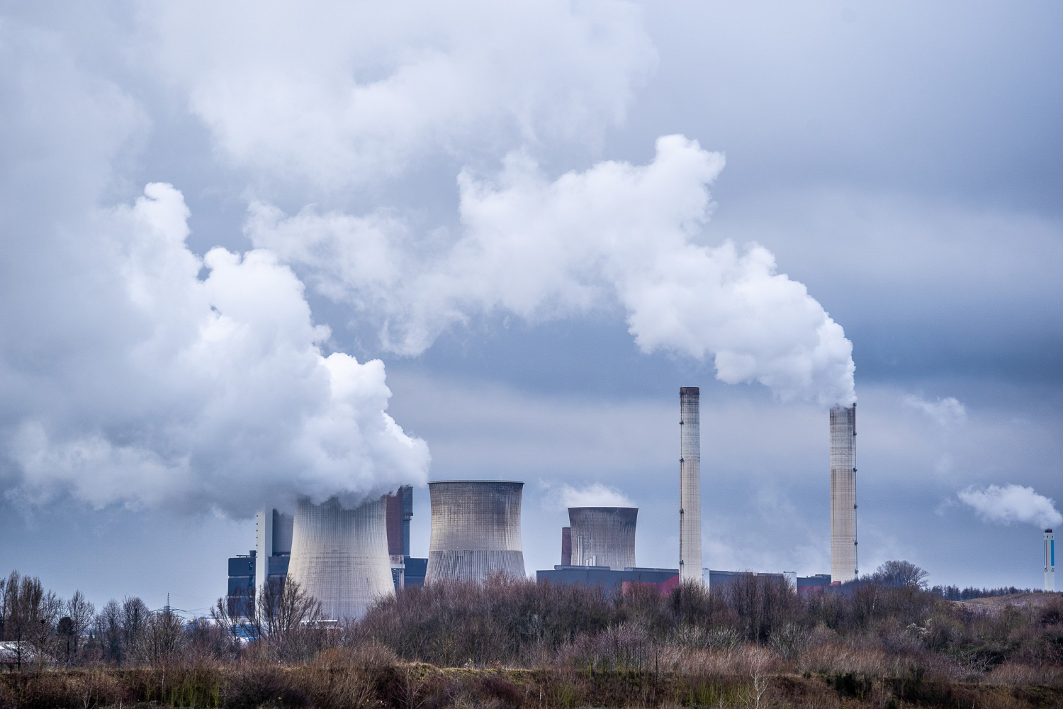Acuerdo de la CRE sobre energía libre de combustible frena transición energética: ONG’s