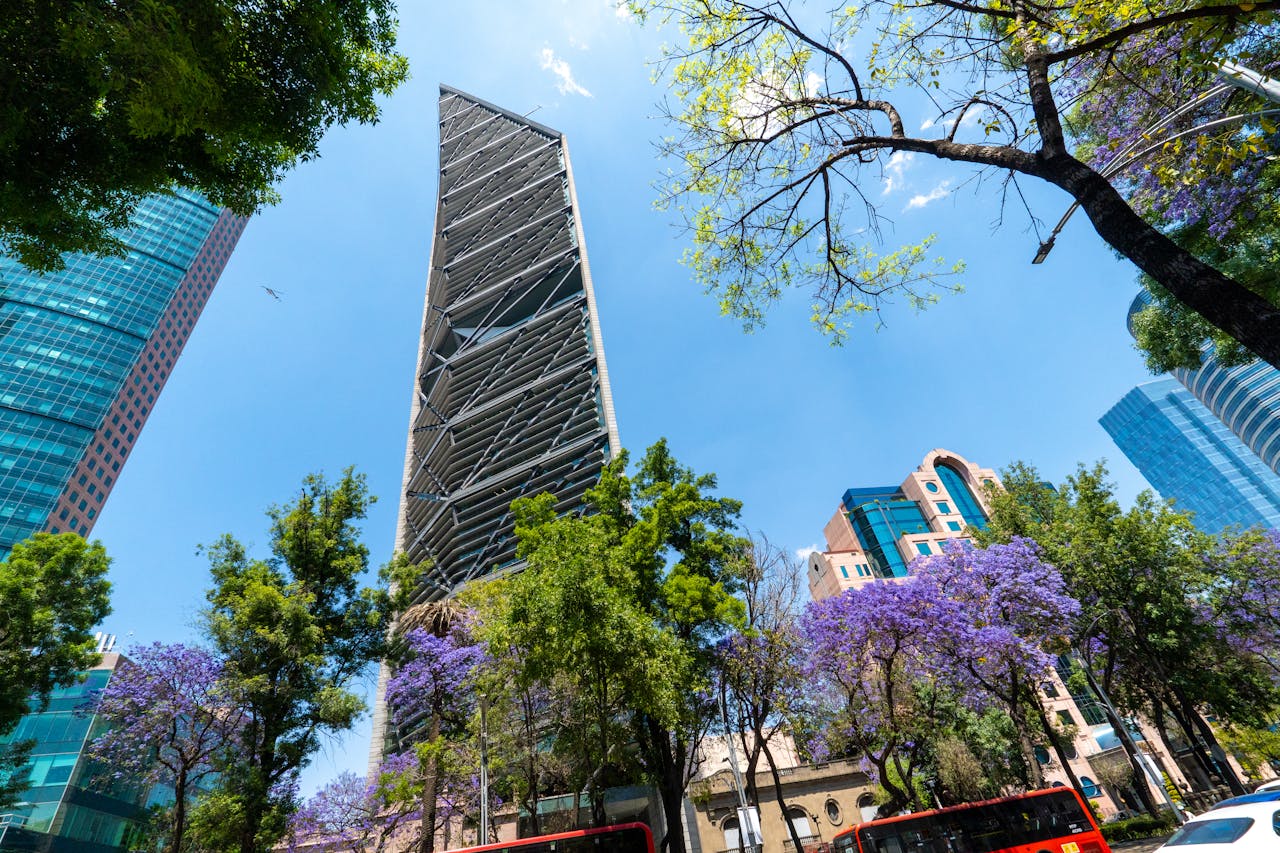 Reforma judicial contradice al T-MEC y desalentará las inversiones: México Evalúa