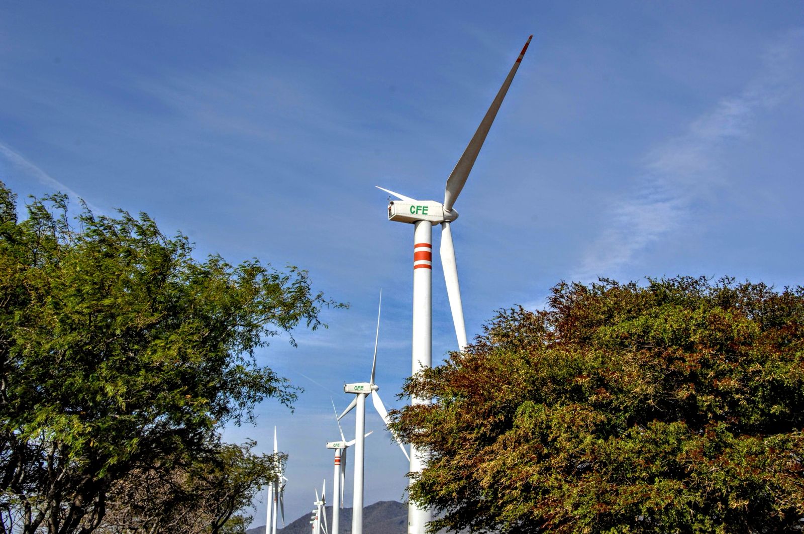 Política energética no viola el T-MEC y no habrá cambios: Sheinbaum – Fortuna y Poder