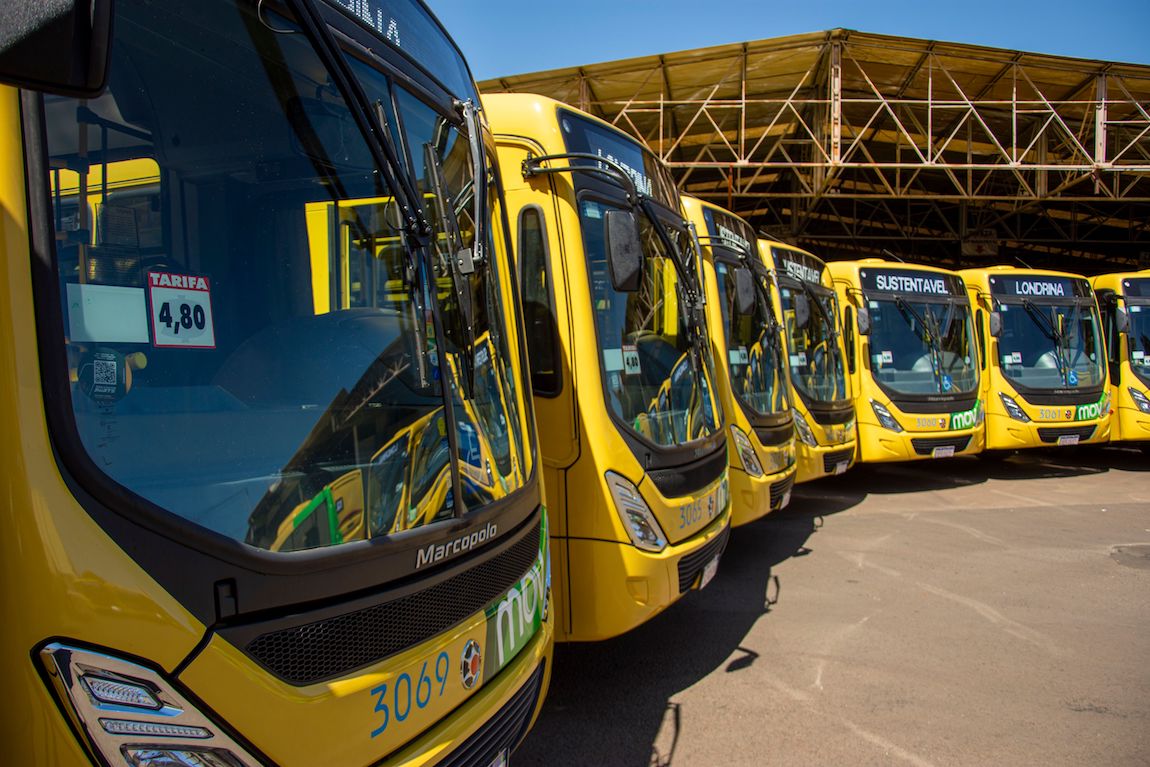 flotilla, camiones, transporte de pasajeros, autobuses,